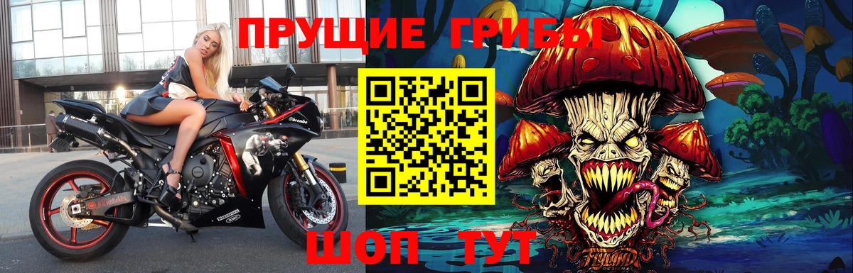 Галлюциногенные грибы Magic Shrooms Нижнеудинск